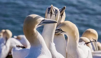 Xbox 开发者直面会官宣：将于 2026 年 1 月举行游戏发布会